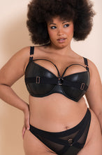 Load image into Gallery viewer, Harnessed