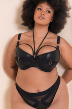 Load image into Gallery viewer, Harnessed