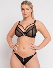 Load image into Gallery viewer, UNZIPPED