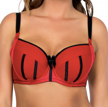 Load image into Gallery viewer, CHARLOTTE