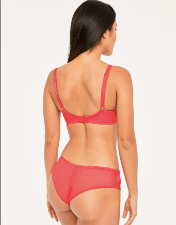 LIFESTYLE SHEER BREIF